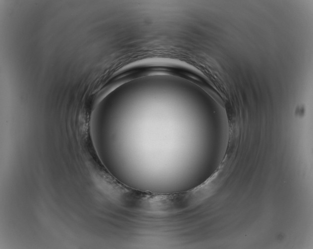 X0000090860186200707271237