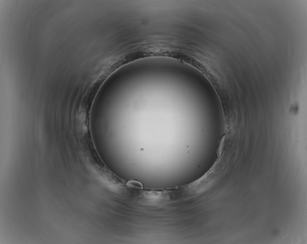 X0000090860187200707271237
