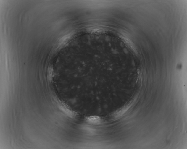 X0000090860189200707271237
