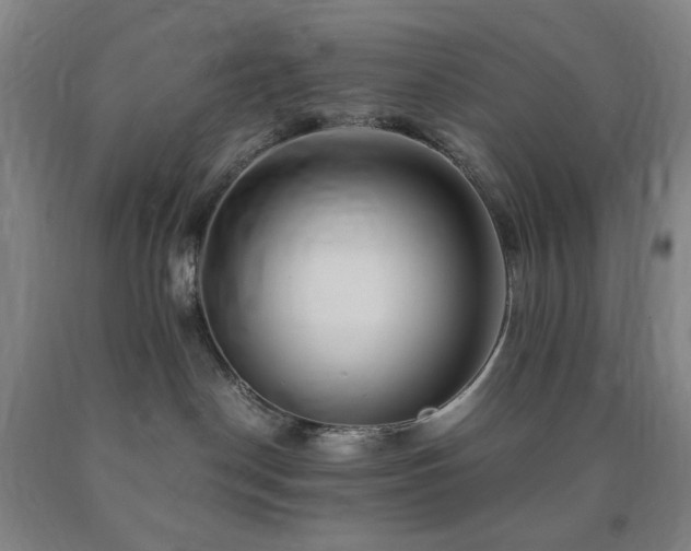 X0000090860190200707271237