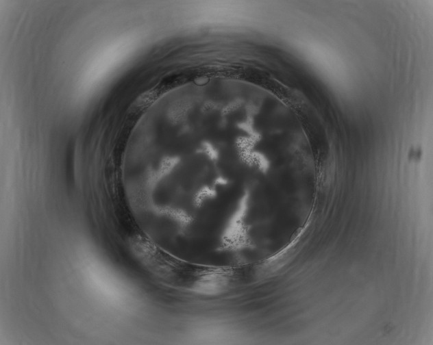 X0000090860191200707271237