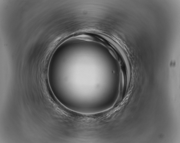 X0000090860193200707271236