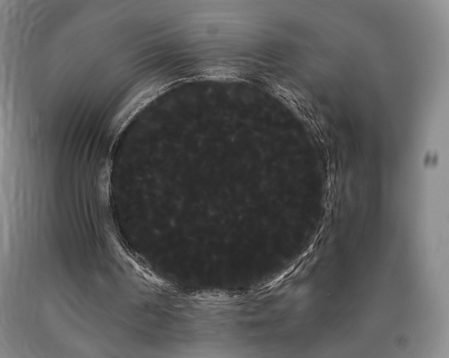 X0000090860194200707271236