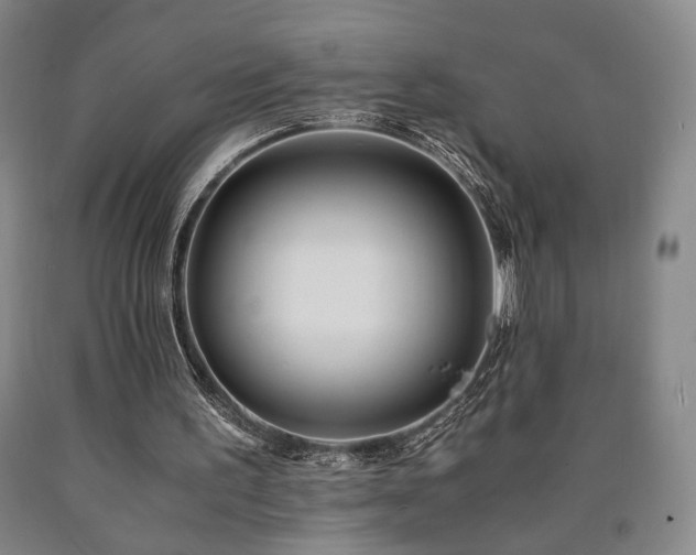 X0000090860195200707271236
