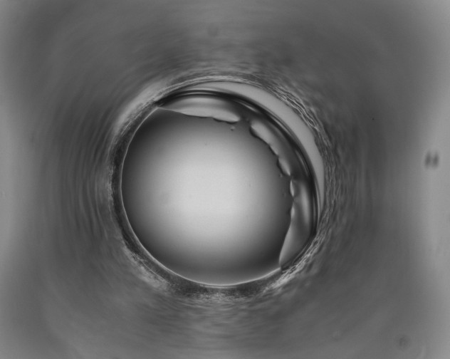X0000090860197200707271236