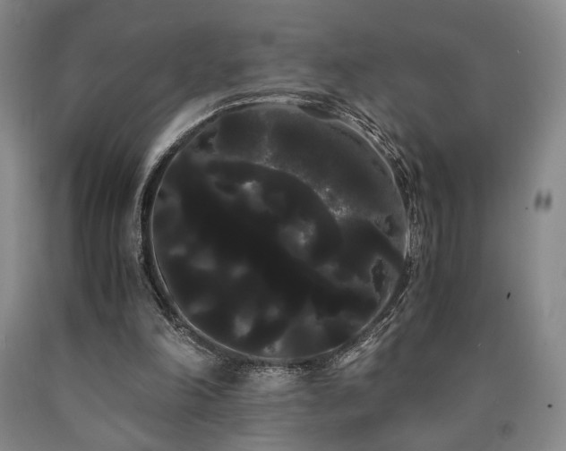 X0000090860198200707271236