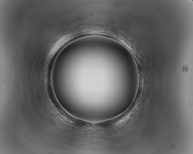 X0000090860199200707271236