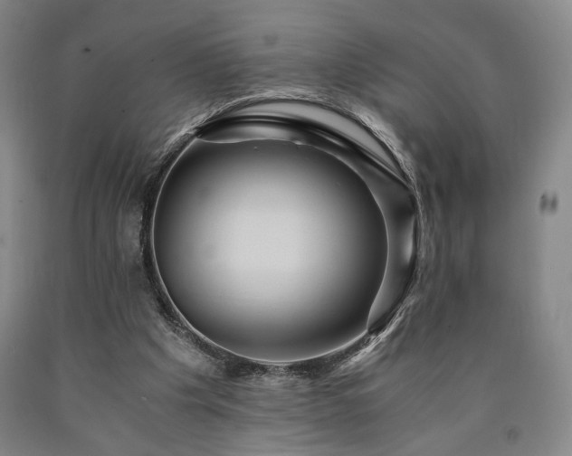 X0000090860201200707271236