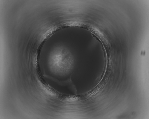X0000090860202200707271236