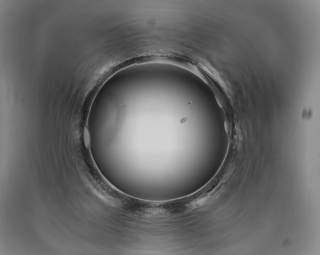 X0000090860203200707271236