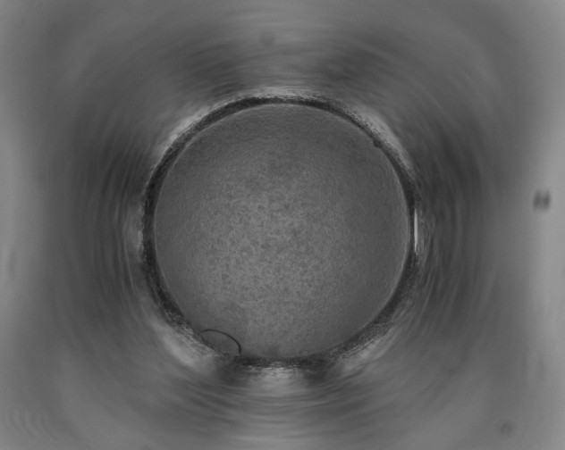 X0000090860204200707271236