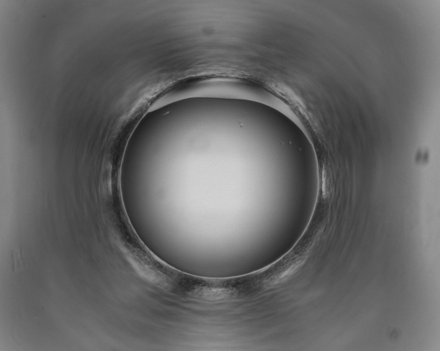 X0000090860205200707271236