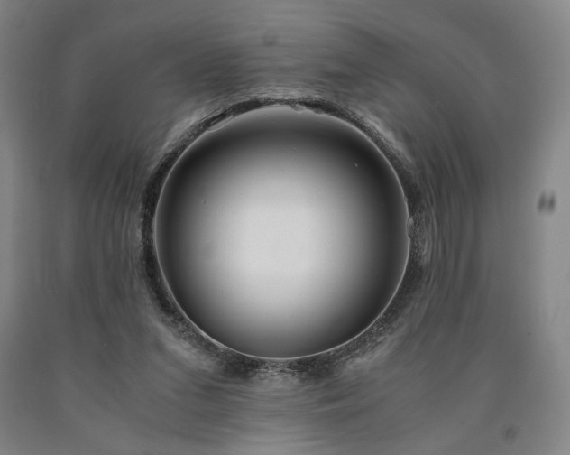 X0000090860207200707271236