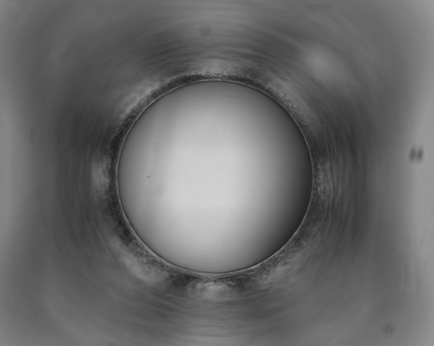 X0000090860208200707271236