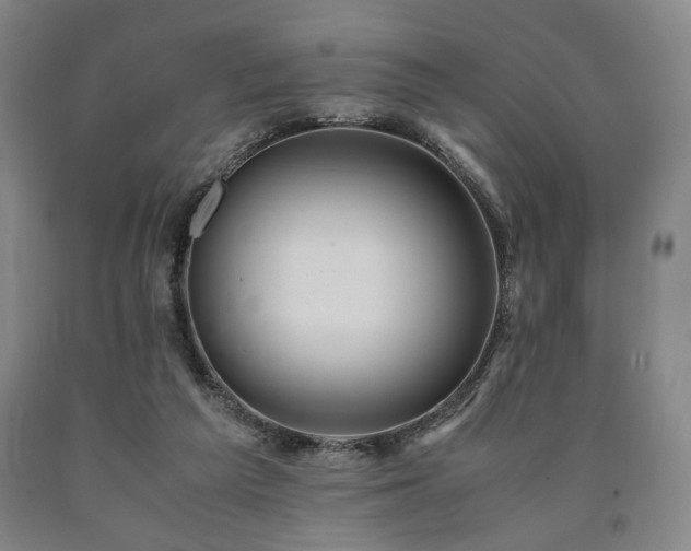 X0000090860209200707271236