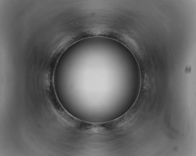 X0000090860210200707271236