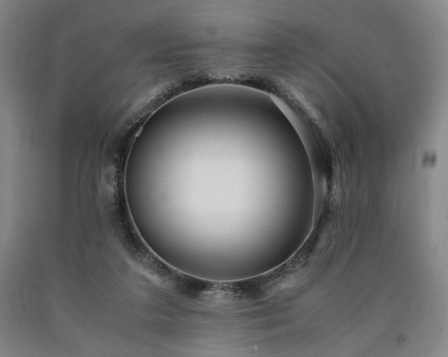 X0000090860211200707271236
