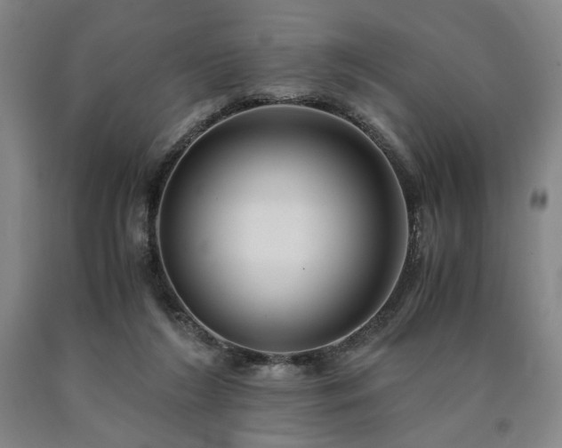 X0000090860212200707271236