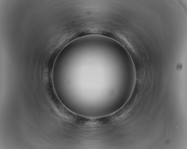 X0000090860213200707271236