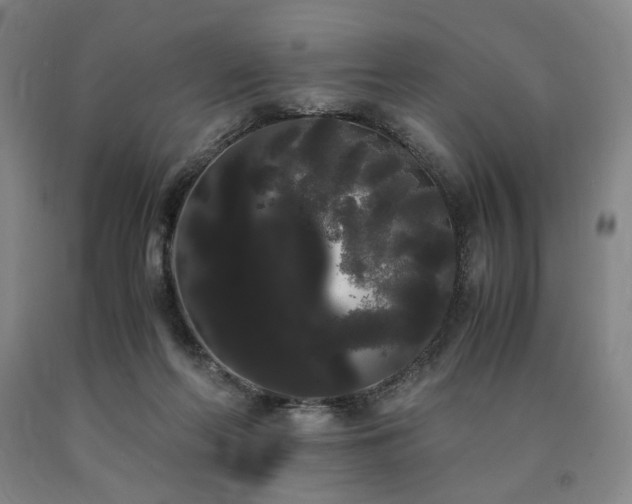 X0000090860214200707271236