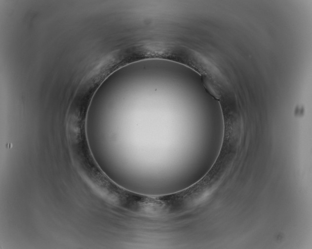 X0000090860215200707271236