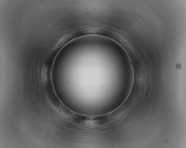 X0000090860216200707271236