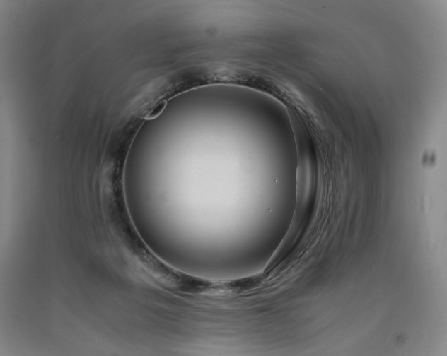 X0000090860217200707271236