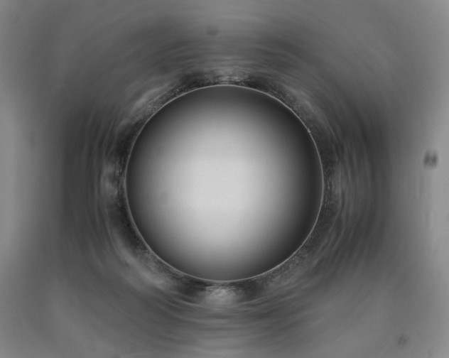 X0000090860218200707271236
