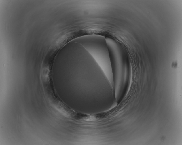 X0000090860219200707271236