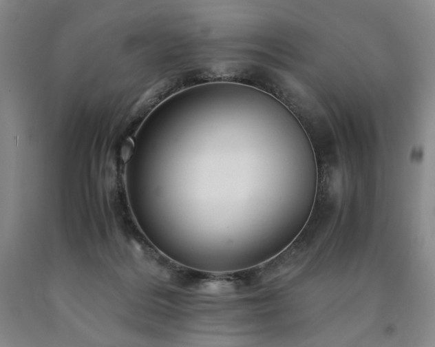 X0000090860220200707271236