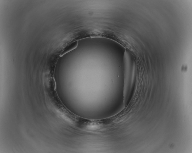 X0000090860223200707271235