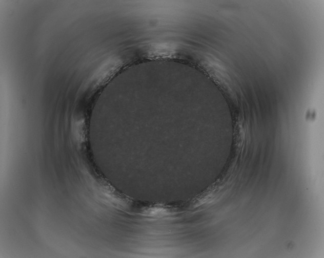 X0000090860224200707271235