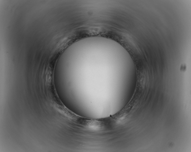 X0000090860226200707271235