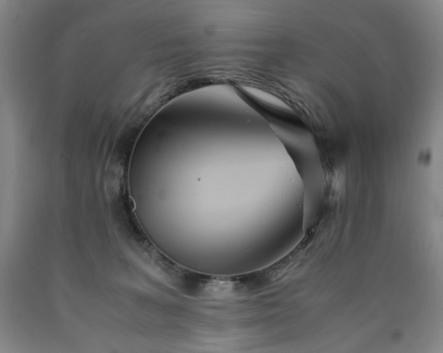 X0000090860227200707271235
