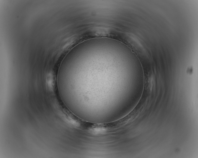 X0000090860228200707271235