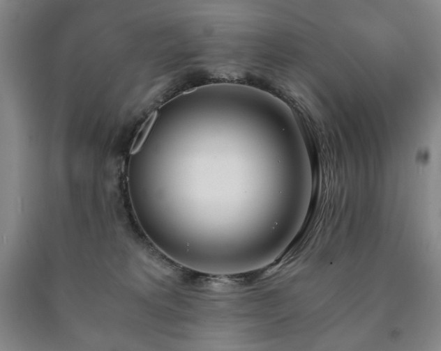 X0000090860229200707271235