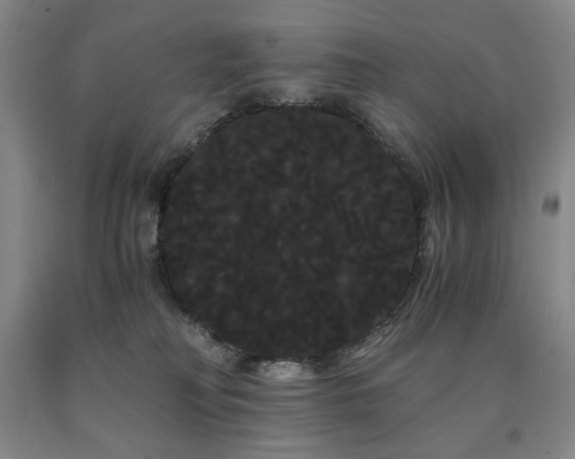 X0000090860230200707271235