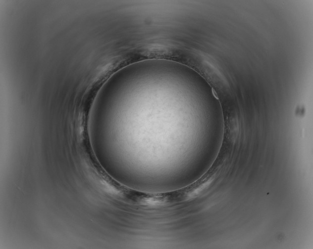 X0000090860232200707271235
