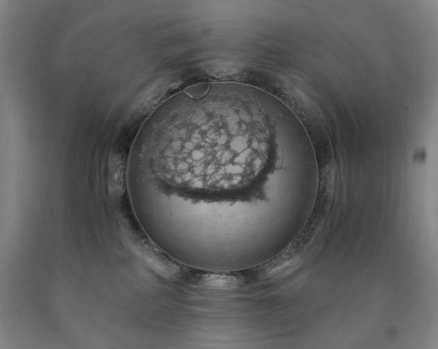 X0000090860234200707271235