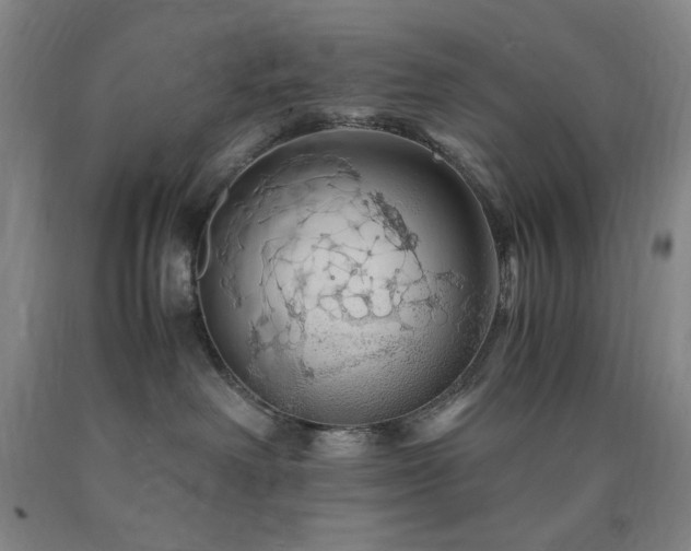 X0000090860238200707271235