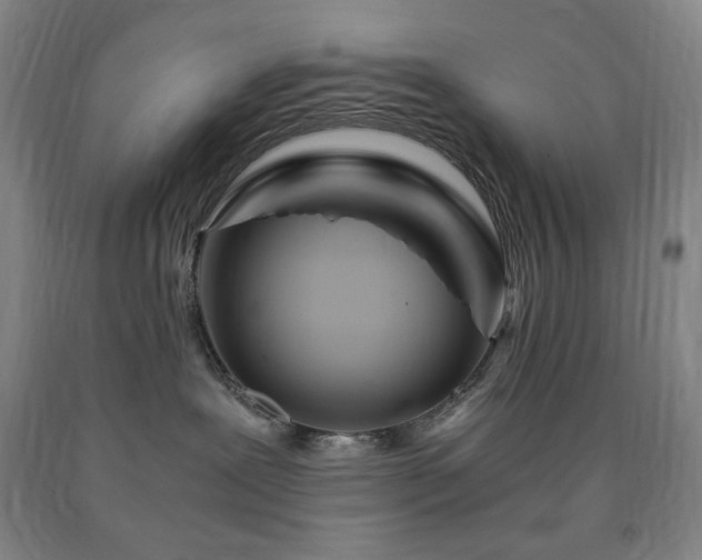 X0000090860239200707271235