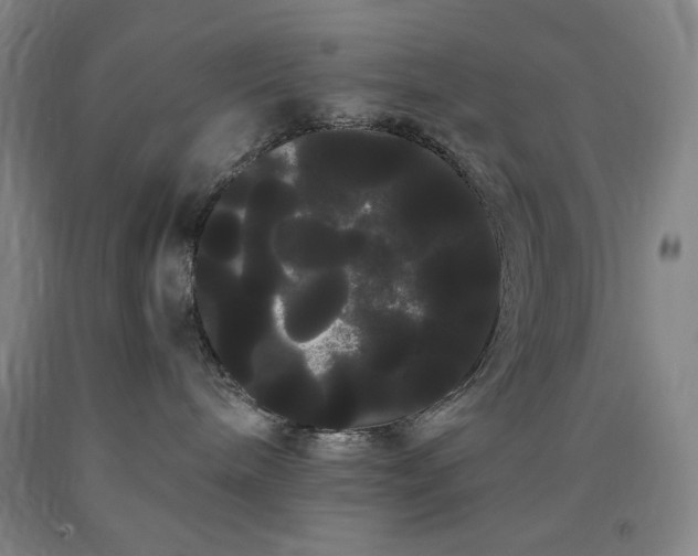 X0000090860240200707271235
