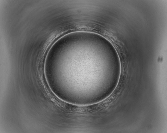 X0000090860241200707271235