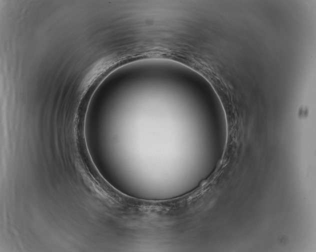 X0000090860242200707271235