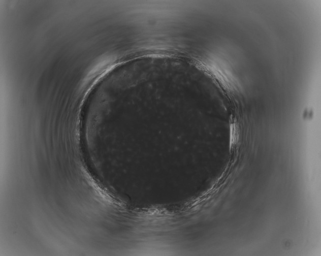 X0000090860243200707271235