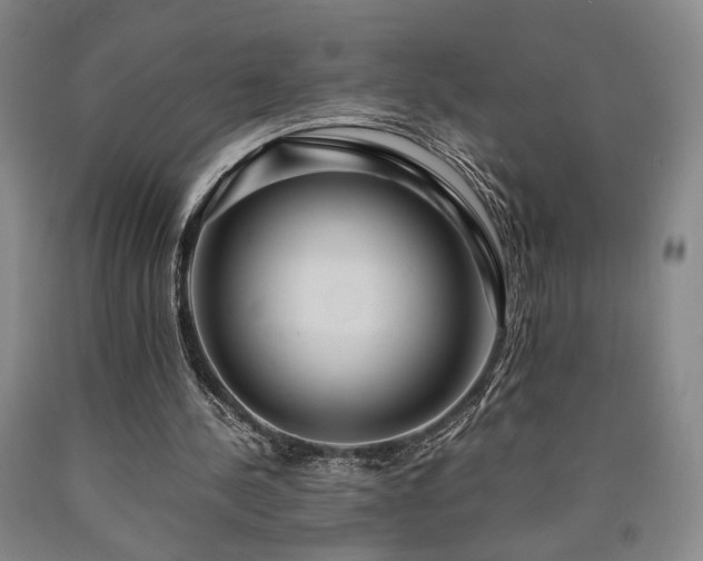 X0000090860244200707271235