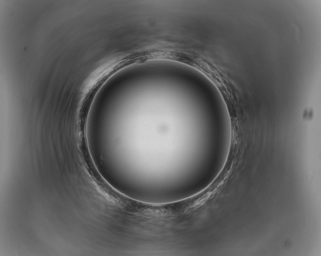 X0000090860245200707271235