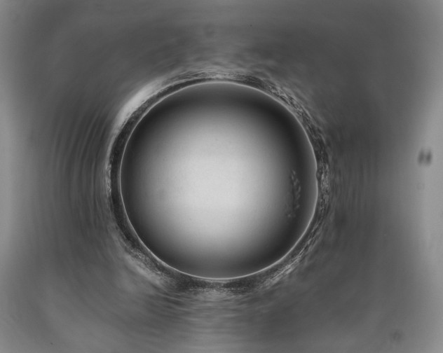 X0000090860246200707271235