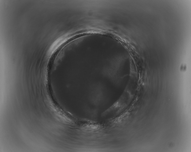 X0000090860247200707271235