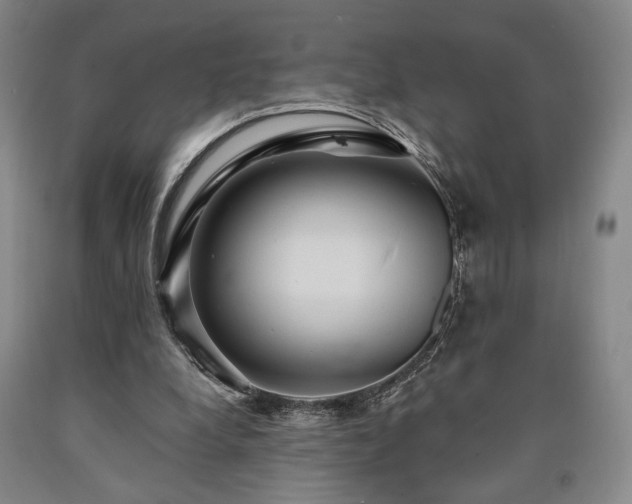 X0000090860248200707271235